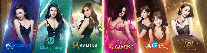 all-casino - 789ladies.com